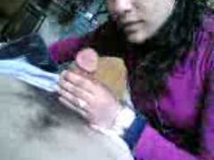 Curvy haired Arab coed girl sucks my hairy cock with passion