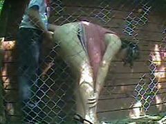 Just a dirty quickie with my wife behind the cottage